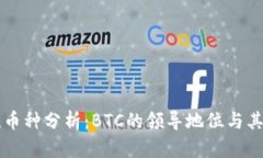 区块链主流币种分析：BTC的领导地位与其他热门