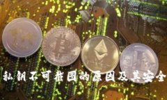 TP钱包私钥不可截图的原因及其安全性分析