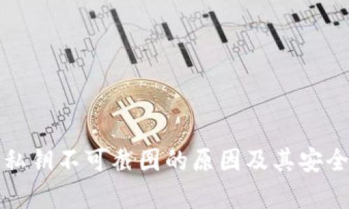 TP钱包私钥不可截图的原因及其安全性分析