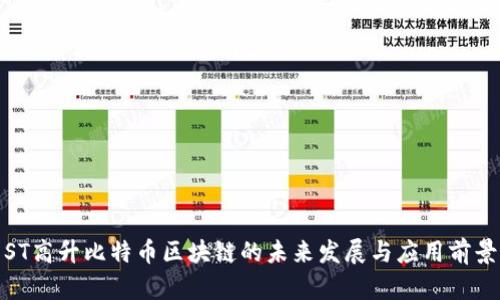 ST高升比特币区块链的未来发展与应用前景