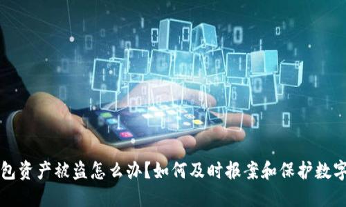 TP钱包资产被盗怎么办？如何及时报案和保护数字资产